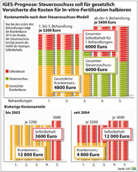 IGES_Steuerzuschuss_Modell_Kosten_lo.jpg