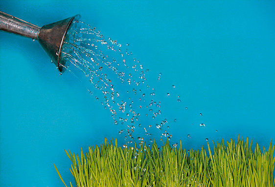 Studie: Pflegekräfte zielgerichtet und orientiert an der Pflegequalität aufstocken