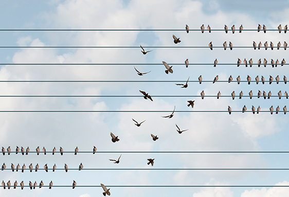 Bürgerversicherung: PKV-Beschäftigungsverluste hängen von Art der Umsetzung ab